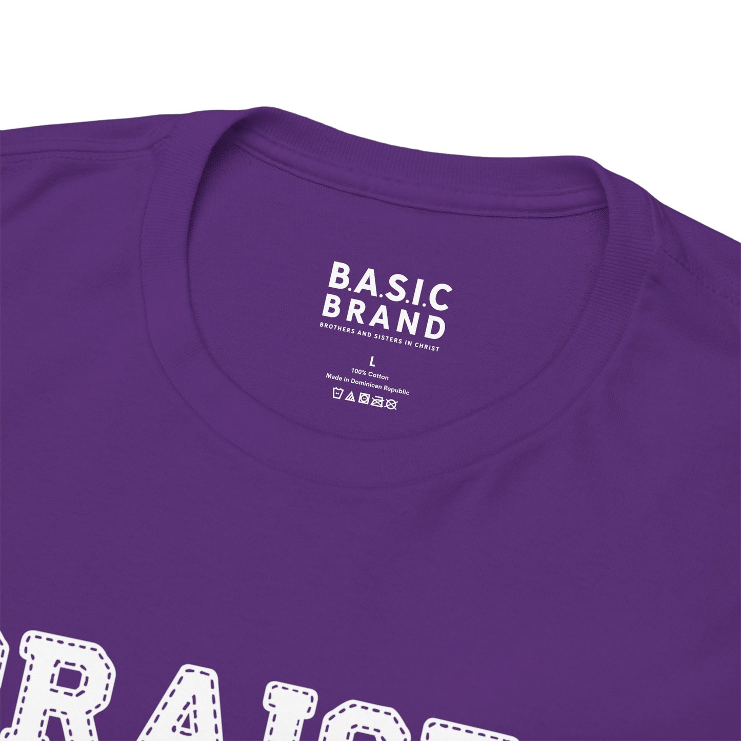 Unisex B.A.S.I.C "P&W 3" T Shirt
